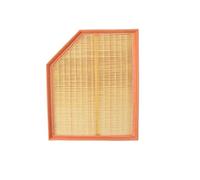 Vuzmode Filtro aria, for VOLVO, S90 V90 XC60 XC90 Cross Country L4 2.0 OEM 31370089 C29021 Filtro aria per auto