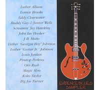 Vv. Aa. - Evidence Blues Sampler