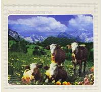 Vv.Aa - Fenetik 2-The Sound Of..