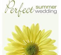Vv.Aa - Perfect Summer Wedding