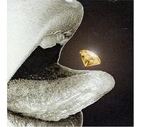 Vv. Aa. - Risky Dazzle:A Service Pa