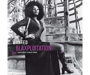 Vv.Aa - Wanted Blaxploitation
