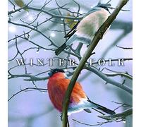 Vv. Aa. - Winter Folk