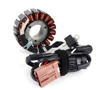 VVBNIN Compatibile con Malaguti per Madison3 250 2008 2009 2010 2011 2012 Bobina Statore Generatore Moto Bobina Statore Magnete Moto statore Bobina Motore