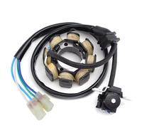 VVBNIN Compatibile con Suzuki per DR250 1998-2000 per DRZ250 per DR-Z250 2001-2007 2009 Bobina Statore per Moto E Guarnizione Bobina Statore per Generatore per Moto statore Bobina Motore