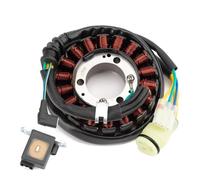 VVBNIN Compatibile con TRX300 per Foreman per BigRed per FourTrax per 300 2X4 4X4 1988-2000 Bobina Statore Magnete Motocicletta Parti di Ricambio statore Bobina Motore