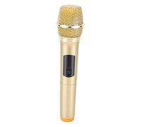 Vvikizy Microfono Wireless 2.4G, Microfono Dinamico Professionale con Ricevitore USB e Portata di 20 M, per Computer, Altoparlante del Telefono, Karaoke, Performance All'aperto