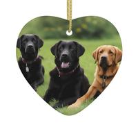 VVXBHGR Ciondolo a forma di labrador retriever con stampa di cani in ceramica con corda metallica dorata per appenderlo facilmente come decorazione
