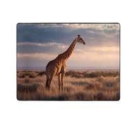VVXBHGR Tappetino antiscivolo 160 x 122 cm, motivo giraffa nel prato, con buon assorbimento d'acqua, adatto per cucina, bagno e soggiorno