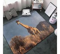 VVXBHGR Tappeto in tessuto di flanella con stampe di giraffe a pois, 152,4 x 99,1 cm, per soggiorno, ufficio, tavolino da caffè, letto, balcone