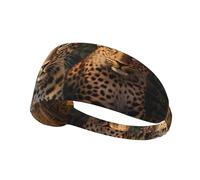VVXBHGR Two Leopard Brothers Prints, fascia elastica per esercizi, per uomini e donne, morbida, ad asciugatura rapida