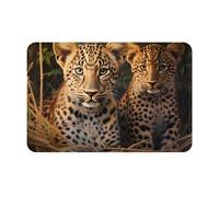VVXBHGR Zerbino 40,6 x 61 cm Due fratelli leopardati stampa idroassorbente antiscivolo per porte d'ingresso, ingressi e bagni