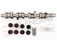 VW Audi Seat Skoda 1.9 Tdi Camme Kit Con Cuscinetti (8 Valvola) Bxe Bkc Bru