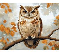 VwrxnchCoatx Kit Punto Croce Gufo, Schemi Quadri Set Ricamo Punto Croce Kit Da Ricamare Principianti Starter Prestampato Stampato Completo Bambini Cross Stitch Embroidery Animali Ricami 40 X 50 Cm