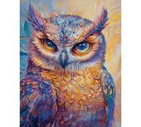 VwrxnchCoatx Kit Punto Croce Gufo, Schemi Quadri Set Ricamo Punto Croce Kit Da Ricamare Principianti Starter Prestampato Stampato Completo Bambini Cross Stitch Embroidery Animali Ricami 40 X 50 Cm