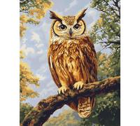 VwrxnchCoatx Kit Punto Croce Gufo, Schemi Quadri Set Ricamo Punto Croce Kit Da Ricamare Principianti Starter Prestampato Stampato Completo Bambini Cross Stitch Embroidery Animali Ricami 40 X 50 Cm