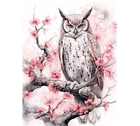 VwrxnchCoatx Kit Punto Croce Gufo, Schemi Quadri Set Ricamo Punto Croce Kit Da Ricamare Principianti Starter Prestampato Stampato Completo Bambini Cross Stitch Embroidery Animali Ricami 40 X 50 Cm