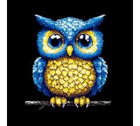 VwrxnchCoatx Kit Punto Croce Gufo, Schemi Quadri Set Ricamo Punto Croce Kit Da Ricamare Principianti Starter Prestampato Stampato Completo Bambini Cross Stitch Embroidery Animali Ricami 40 X 50 Cm