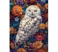 VwrxnchCoatx Kit Punto Croce Gufo, Schemi Quadri Set Ricamo Punto Croce Kit Da Ricamare Principianti Starter Prestampato Stampato Completo Bambini Cross Stitch Embroidery Animali Ricami 40 X 50 Cm