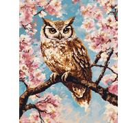 VwrxnchCoatx Kit Punto Croce Gufo, Schemi Quadri Set Ricamo Punto Croce Kit Da Ricamare Principianti Starter Prestampato Stampato Completo Bambini Cross Stitch Embroidery Animali Ricami 40 X 50 Cm