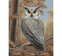 VwrxnchCoatx Kit Punto Croce Gufo, Schemi Quadri Set Ricamo Punto Croce Kit Da Ricamare Principianti Starter Prestampato Stampato Completo Bambini Cross Stitch Embroidery Animali Ricami 40 X 50 Cm