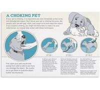 VWWJCCRO Dog CPR Poster Canine First Aid Emergency Steps Pet Wall Decor(Framed,08x12inch(20x30cm))