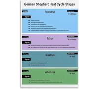 VWWJCCRO Dog Estrus Cycle Chart Poster Canvas Wall-Art | Pet care hospital reference chart canvas print for home wall decor(Unframed,12x18inch(30x45cm))