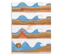 VWWJCCRO Earth Science Poster Tsunami Formation Causes Disasters Educational Chart for School Classroom Wall(Unframed,16x24inch(40x60cm))