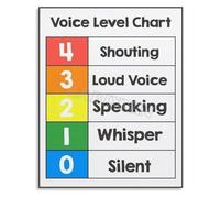 VWWJCCRO Elementary School Voice Level Chart Metal Tin Sign For Classroom Wall Decor Teachers Resource Quiet Zone Guide 8 X 12 inch