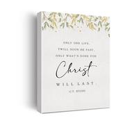 VWWJCCRO For Christ & Everlasting Life Watercolor Canvas Print, Modern Christian Artwork, Inspirational Wall Decor for Bedroom, Office, Dining Room, Housewarming Gift(Framed,12x18inch(30x45cm))