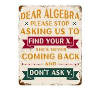 VWWJCCRO Rustic Metal Wall Plaque Dear Algebra You Have A Problem Funny Equation For Math Teacher Gift High School Classroom Decor Tin Sign 8 X 12 inch