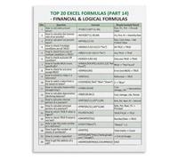 VWWJCCRO Top 20 Excel Formulas Cheat Sheet Poster Financial Modeling Logic Testing NPV IRR XNPV XIRR Wall Decor(Unframed,12x18inch(30x45cm))
