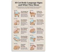 VWWJCCRO Understanding Your Cat Body Language Chart Poster Home Decorative Gift Idea(Framed,08x12inch(20x30cm))