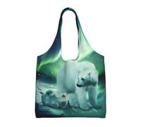 VXXNlnn Coconut Beach Sunset amaca stampa tela tote bag - grande borsa riutilizzabile shopping & Storage Tote per le donne, perfetta per la vita quotidiana, Orso polare Northern Lights, Taglia unica