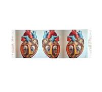 VXXNlnn Elegante sciarpa marrone con frange in cashmere con stampa labrador retriever - scialle pashmina leggera da donna, morbida e calda, Grafico Cuore Anatomia Umana, Taglia unica