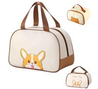 Vyloky Borsa frigo, borsa da picnic, borsa per il pranzo, borsa per il pranzo, mini borsa per l'insulazione, per donne, adulti (chiusura lampo superiore cachi, 9 L)