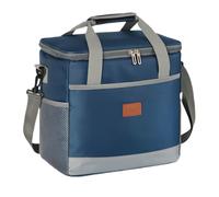 Vyloky Borsa frigo, borsa da picnic, borsa per il pranzo, borsa per il pranzo, portabottiglie per vino e birra, mini borsa per insulation bag, per donne, adulti (ciano, 16L)