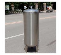 Vyrata Serbatoi a Pressione d Acqua Serbatoio di Pressione Automatico for Acqua di pozzo in Acciaio Inossidabile, con Porta di Pulizia, Serbatoi pressurizzati(B,19.7x53.1in/50x135cm(250L/66Gal))