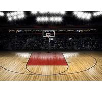 VZ002-10X7 - Sfondo fotografico con campo da basket, per ambienti interni, 3 x 2,1 m