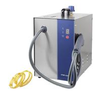 VzxCrue Macchina Pulitrice A Vapore per Gioielli, Macchina Pulitrice A Vapore Professionale per Gemme, Oro E Argento, Pressione del Vapore 4 kg, per Gioiellerie, Studi Handheld