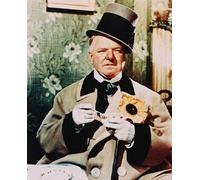 W.C.Fields Poster Stampa 61x50.8cm Cool Foto 232376