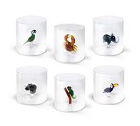 w d Lifestyle - w d KIT012 - Set di 6 Bicchieri in vetro borosilicato ANIMALI 2