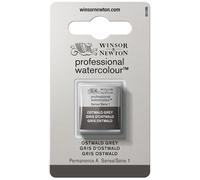 W&N Professional Watercolor 1/2 Godet - Acquerello extrafine per artisti, colori vivaci di altissima qualità, luminosità e brillantezza, resistenti alla luce - Grigio di Ostwald