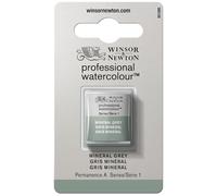 W&N Professional Watercolor 1/2 Godet - Acquerello extrafine per artisti, colori vivaci di altissima qualità, luminosità e brillantezza, resistenti alla luce - Grigio Minerale