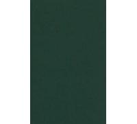 W.T. Mitchell Epistolae Academicae Oxon, 1508-97 (Copertina rigida)