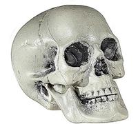 W WIDMANN MILANO Party Fashion 01379 - Teschio di plastica, 21 cm, decorazione per feste, Halloween, carnevale, festa a tema