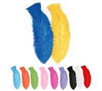 WIDMANN 0510M - 50 Piume Adulto Unisex, Brasiliani, Carnevale Brasiliano, Feste A Tema, Ca. 10 Cm, Multicolore
