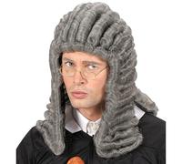 W WIDMANN MILANO Party Fashion J0733 - Parrucca da giudice, grigia, capelli sintetici, parrucca a capelli lunghi