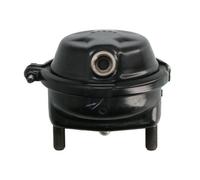 WABCO Cilindro a Membrana, Disco 16 4231047120