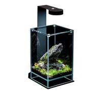 WabiFlur - Terrario Completo con LED Integrato, Terrarium in Vetro Extrachiaro pronto all'uso con Muschi, Legni Rocce e Fondo Inclusi, Nano Garden di Design, Dimensioni 15x15x25h cm, YARIGA